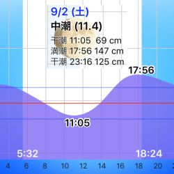 太刀魚、サゴシ、ハマチ、爆風